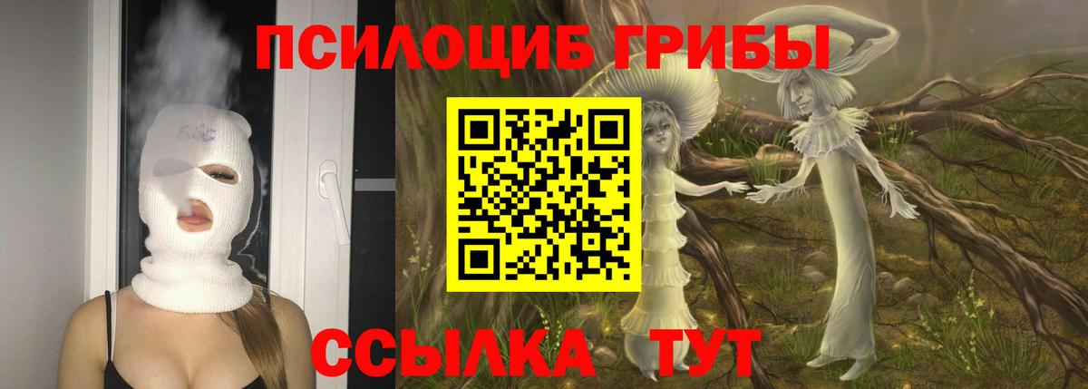 Псилоцибиновые грибы Psilocybe  Псилоцибиновые грибы мухоморы  наркошоп  Вход с VPN  Сертолово 
