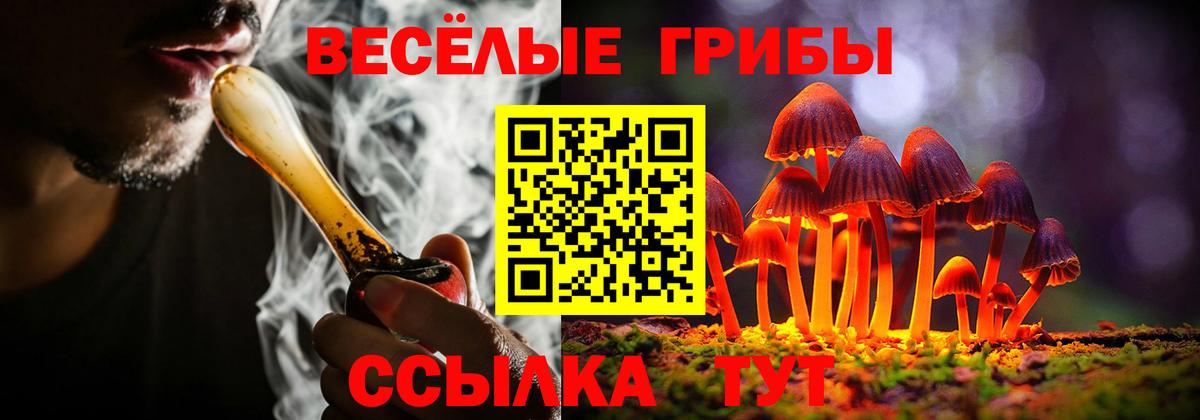 Псилоцибиновые грибы мухоморы Сертолово